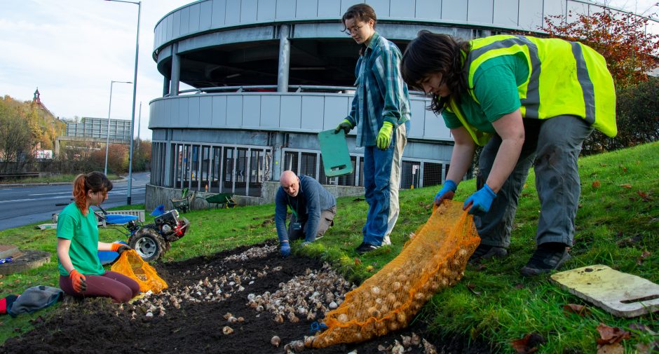 Volunteers Spring into action for planting initiative