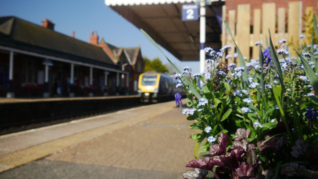 image showing some flowers and a train arriving at Romiley Station