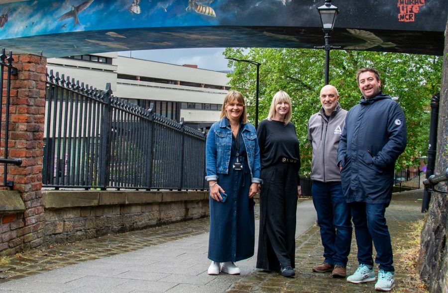 Rare Stockport wildlife unveiled in overhead town centre artwork